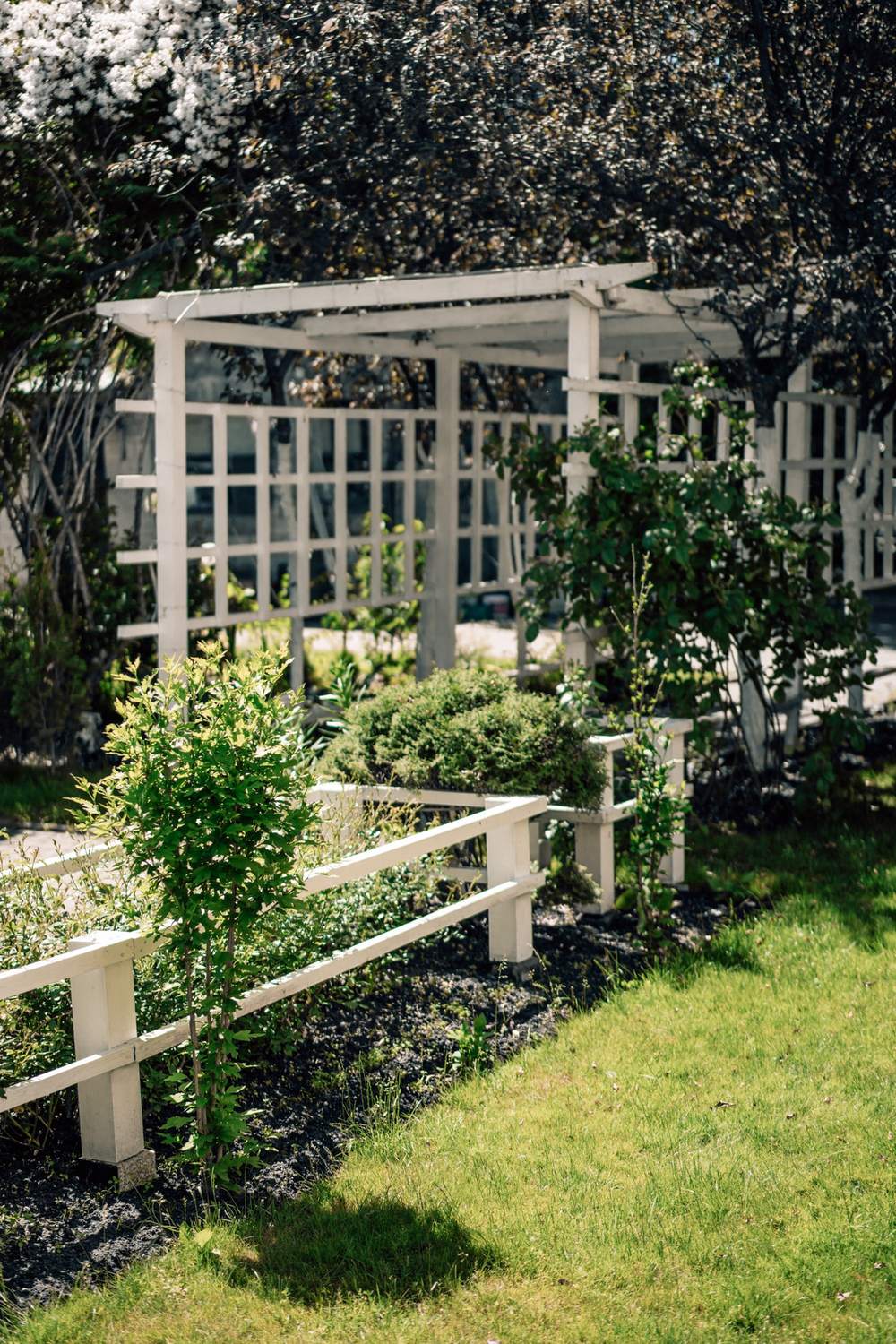Pergola & lawn edging in Holly Springs