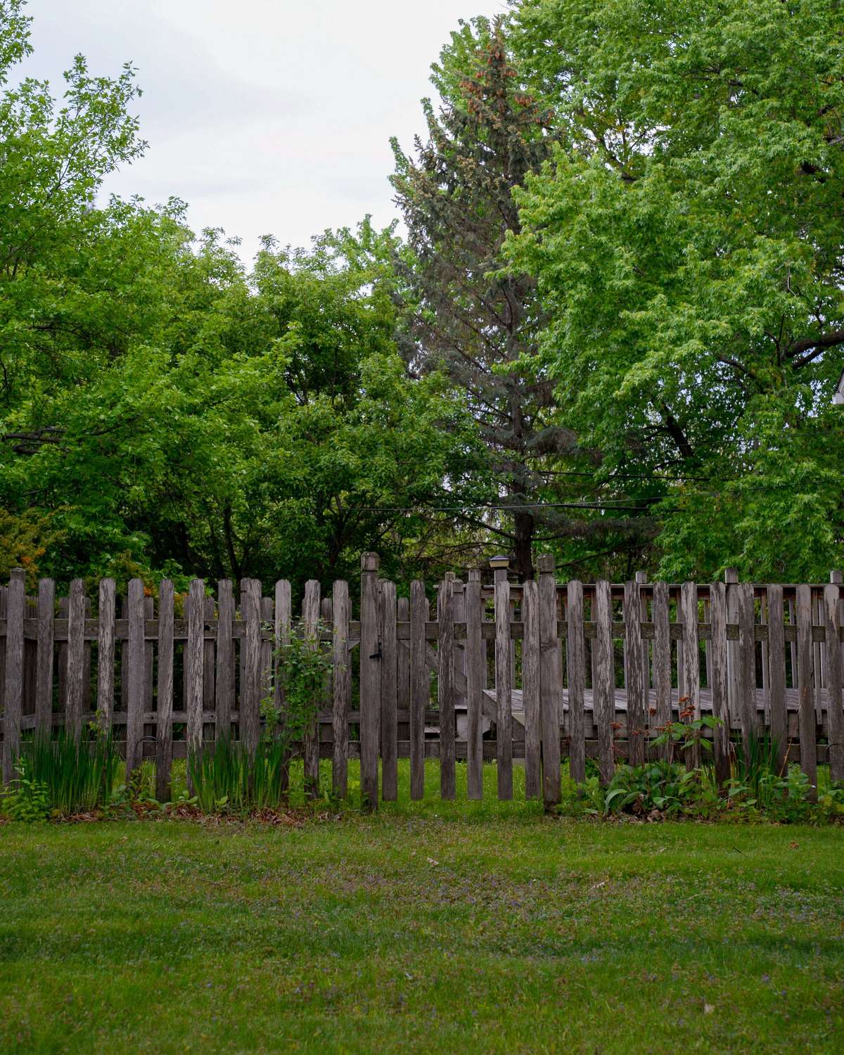 Pressure-treated dog-ear in Greenwood