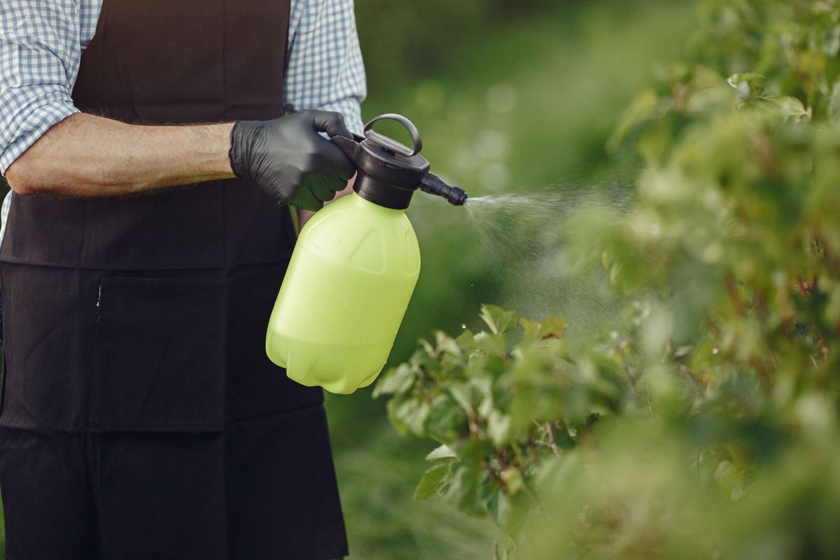 Technician treating shrubs around a home with a sprayer